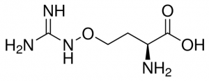 L-Canavanine 