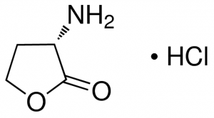 L-Homoserine lactone hydrochloride 