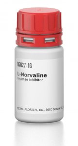 L-Norvaline 