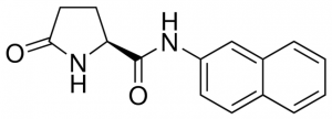 L-Pyroglutamic acid 2-naphthylamide 