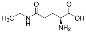 L-Theanine 