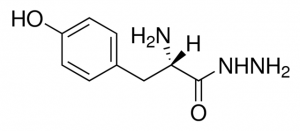 L-Tyrosine hydrazide 