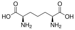 meso-2,6-Diaminopimelic acid 