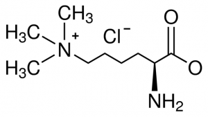 N,N,N-Trimethyllysine hydrochloride 