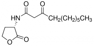 N-(3-Oxodecanoyl)-L-homoserine lactone 