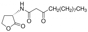 N-(3-Oxododecanoyl)-L-homoserine lactone 