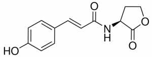 N-(p-Coumaroyl)-L-homoserine lactone 7077-50MG