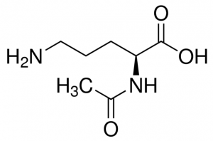 N-Acetyl-L-ornithine 