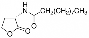 N-Decanoyl-L-homoserine lactone 