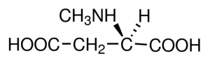 N-Methyl-D-aspartic acid 