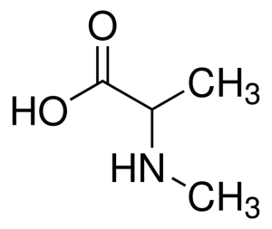 N-Methyl-DL-alanine 