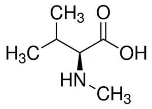 N-Methyl-L-valine 