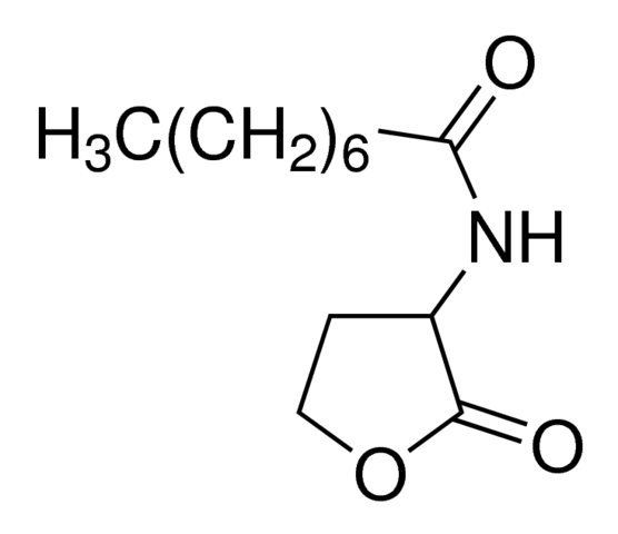 N-Octanoyl-DL-homoserine lactone 10940-25MG