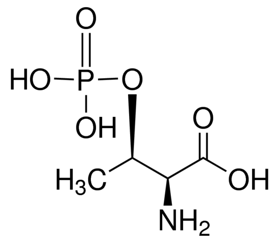 O-Phospho-L-threonine 