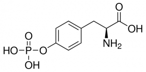 O-Phospho-L-tyrosine 
