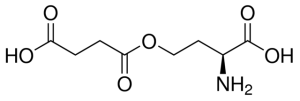 O-Succinyl-L-homoserine 