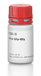 Phe-Gly-Gly 