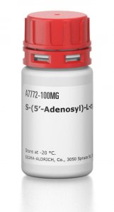 S-(5-Adenosyl)-L-cysteine 
