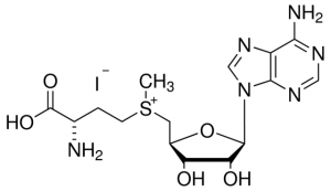 S-(5-Adenosyl)-L-methionine iodide 