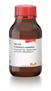 S-Methyl-L-cysteine 