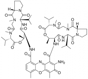Actinomycin D, Ready Made Solution 