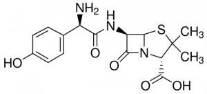 Amoxicillin 