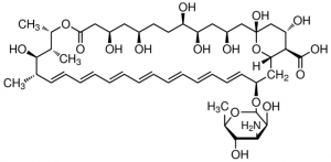 Amphotericin B solution 