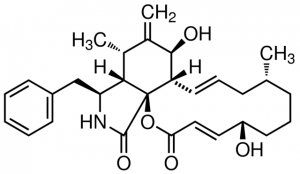 Cytochalasin B from Drechslera dematioidea 