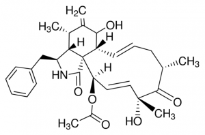 Cytochalasin D 