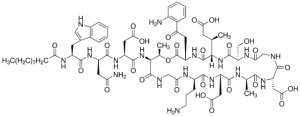 Daptomycin Ready Made Solution 