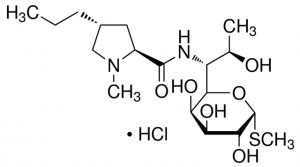 Lincomycin hydrochloride 