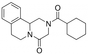 Praziquantel 