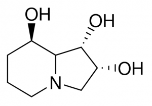 Swainsonine 