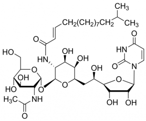 Tunicamycin V SMB00071-1MG