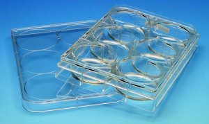 CytoSoft 5145-5EA