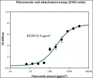 Fibronectin human 
