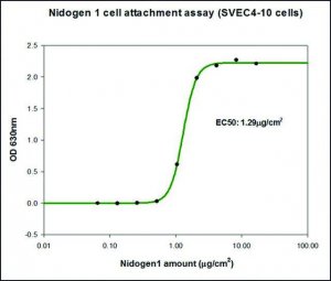Nidogen-1 (NID1) human D8935-50UG