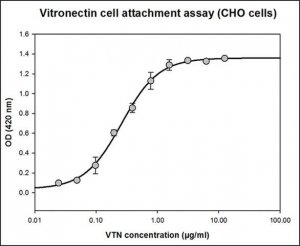 Vitronectin human 