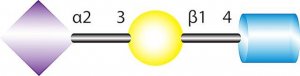 3-N-Acetylneuraminyl-N-acetyllactosamine sodium salt 