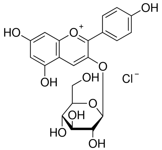 Callistephin chloride 