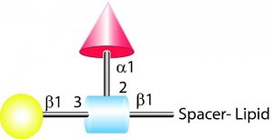 FSL-LEa(tri) 