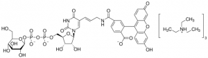 Glucose-Udp-Fluorescein Conjugate SMB00285-100UG