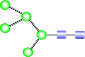 MAN-5 Glycan 