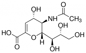 N-Acetyl-2,3-dehydro-2-deoxyneuraminic acid 