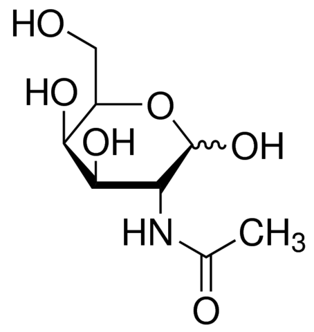 N-Acetyl-D-galactosamine 