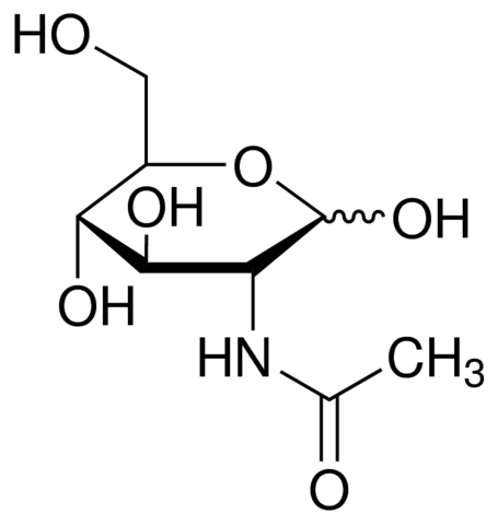 N-Acetyl-D-glucosamine 