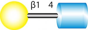 N-Acetyl-D-lactosamine 