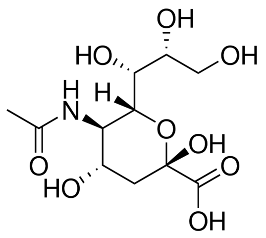 N-Acetylneuraminic acid 