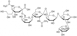 N-Acetylneuraminyl-fucosyllacto-N-neo-tetraose from human milk A2558-20UG