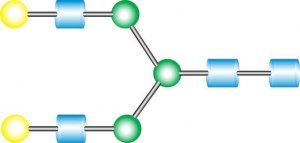 NA2 Glycan 